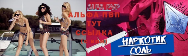 шишки Алзамай