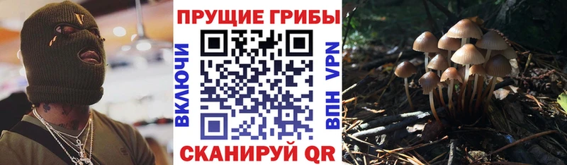 Галлюциногенные грибы Cubensis  Лебедянь 