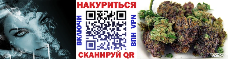 Бошки Шишки план  Лебедянь 
